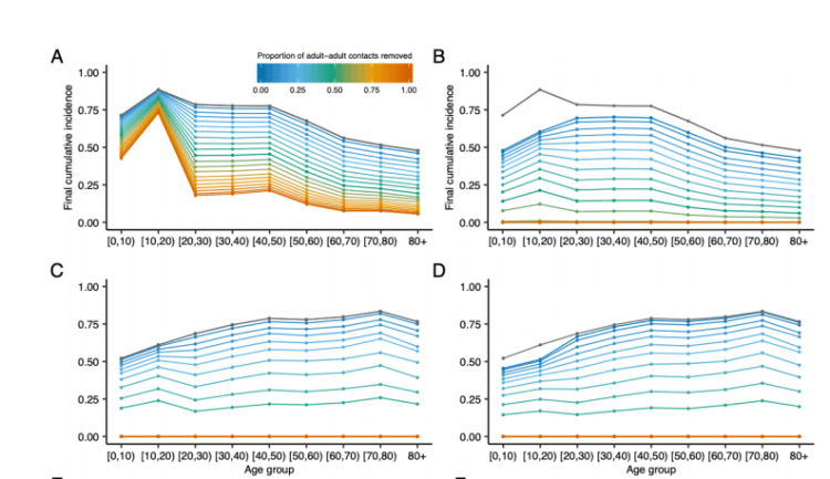 ImplicationsofAgeOnCoronaChart2